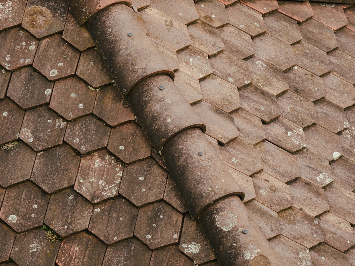Toiture avant nettoyage encrassée
